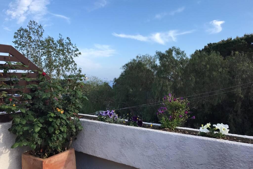Casita Blanca Con Fibra Optica Y Piscina Cominutaria Villa Tossa de Mar Eksteriør bilde